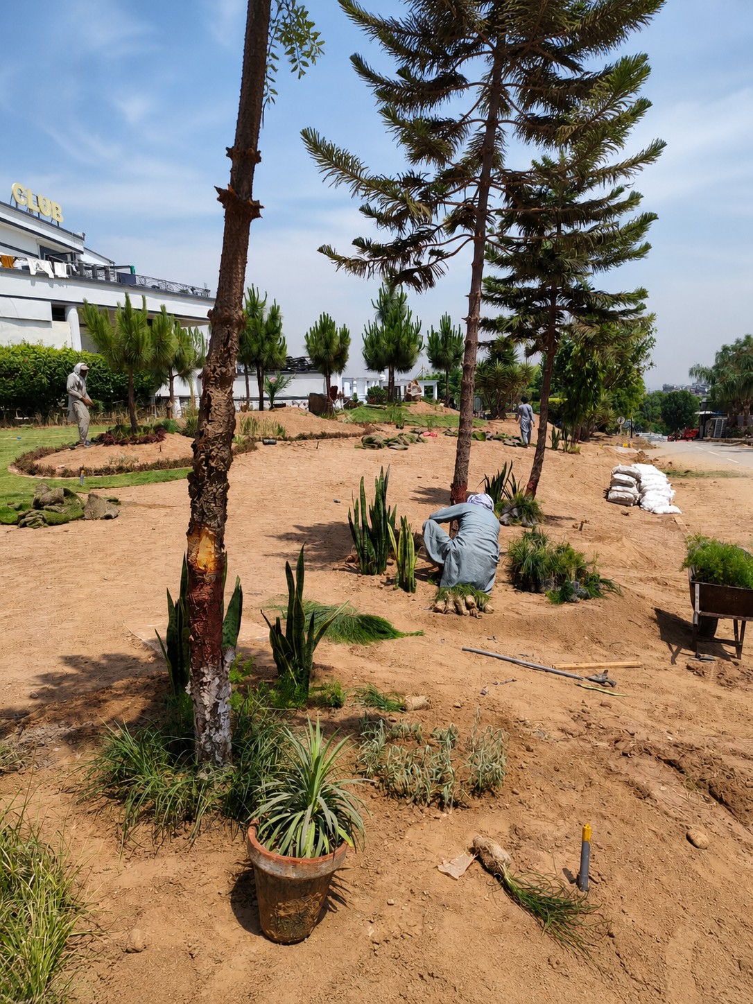 Go Green Landscapes team of expert horticulturists and landscapers at work